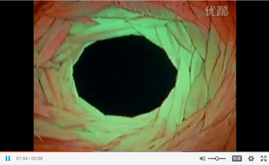 Andy Goldsworthy 自然雕塑4 
